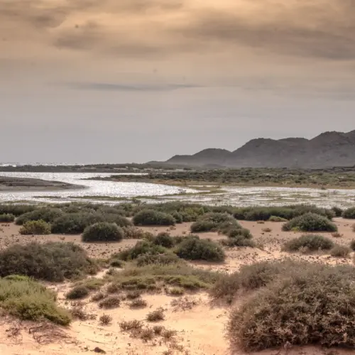 iStock-1663642573isla lobos trail_result